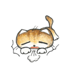 Bobbi Cat English version（個別スタンプ：32）