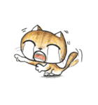 Bobbi Cat English version（個別スタンプ：40）