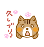 リスのきなこ【日常会話】（個別スタンプ：27）