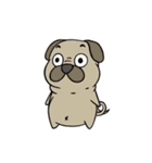 Aminal Stickers #1（個別スタンプ：18）