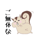 リス太郎の日常（個別スタンプ：38）