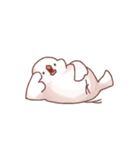 Chirping Padda（個別スタンプ：2）