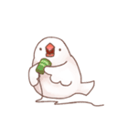 Chirping Padda（個別スタンプ：11）