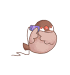 Chirping Padda（個別スタンプ：12）