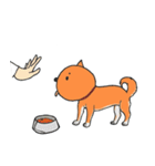 マロ犬の気持ち（個別スタンプ：12）