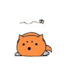マロ犬の気持ち（個別スタンプ：16）