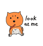 マロ犬の気持ち（個別スタンプ：29）