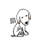 Stray dog-Ho Home（個別スタンプ：2）
