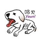 Stray dog-Ho Home（個別スタンプ：8）