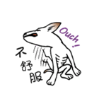 Stray dog-Ho Home（個別スタンプ：18）