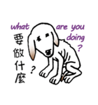 Stray dog-Ho Home（個別スタンプ：19）
