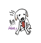 Stray dog-Ho Home（個別スタンプ：20）
