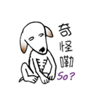 Stray dog-Ho Home（個別スタンプ：23）