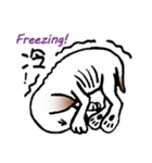 Stray dog-Ho Home（個別スタンプ：24）