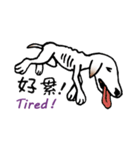 Stray dog-Ho Home（個別スタンプ：27）