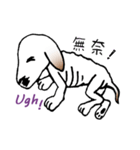 Stray dog-Ho Home（個別スタンプ：28）