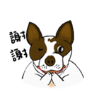 Ponhuahua（個別スタンプ：5）