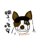 Ponhuahua（個別スタンプ：6）