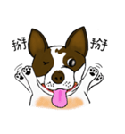 Ponhuahua（個別スタンプ：8）