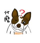 Ponhuahua（個別スタンプ：9）
