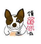 Ponhuahua（個別スタンプ：11）