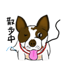 Ponhuahua（個別スタンプ：12）