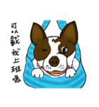 Ponhuahua（個別スタンプ：13）