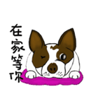 Ponhuahua（個別スタンプ：14）