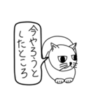 目つき悪い猫（意識低い）（個別スタンプ：24）