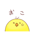 ゆるかわいいひよこの酉年スタンプ（個別スタンプ：14）