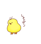 ゆるかわいいひよこの酉年スタンプ（個別スタンプ：20）