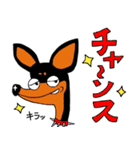 ミニピン☆ジョー（個別スタンプ：2）