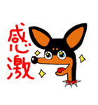 ミニピン☆ジョー（個別スタンプ：19）