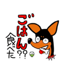 ミニピン☆ジョー（個別スタンプ：21）