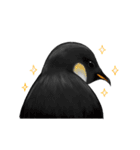 serious penguin（個別スタンプ：5）