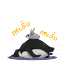 serious penguin（個別スタンプ：8）