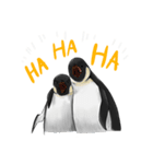serious penguin（個別スタンプ：9）