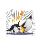 serious penguin（個別スタンプ：11）