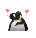 serious penguin（個別スタンプ：14）