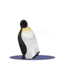 serious penguin（個別スタンプ：19）