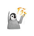 serious penguin（個別スタンプ：23）
