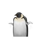 serious penguin（個別スタンプ：24）
