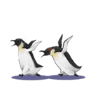 serious penguin（個別スタンプ：27）