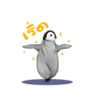 serious penguin（個別スタンプ：28）