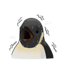 serious penguin（個別スタンプ：32）
