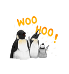 serious penguin（個別スタンプ：34）