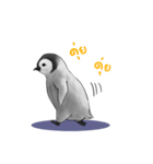serious penguin（個別スタンプ：35）
