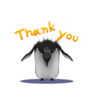 serious penguin（個別スタンプ：36）