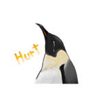 serious penguin（個別スタンプ：37）