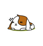 Boksil's Daily Life（個別スタンプ：22）